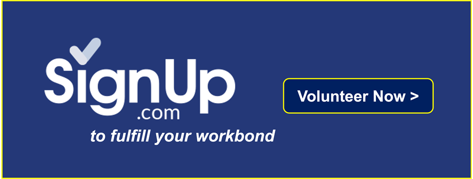 Spring Flag Work Bond Link